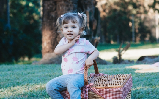 Foto Piquenique da Família
