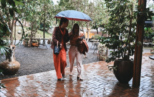 Foto Chá Florescer